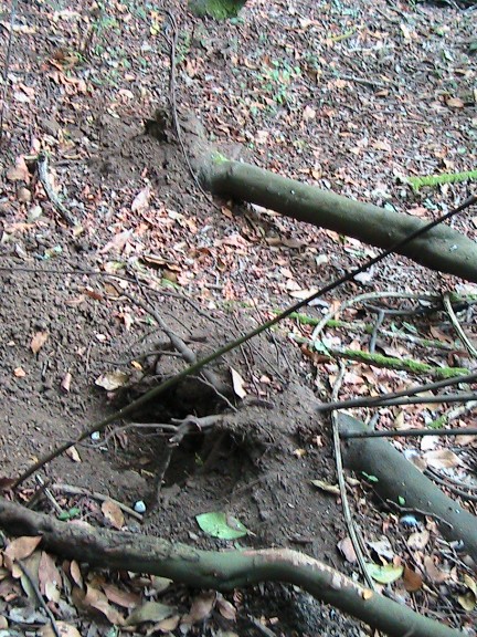 Inquietanti tracce in una villa...al centro di Roma!!!